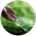 Matrix Energie